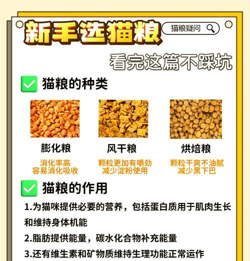 猫咪换粮后无力感如何解决？