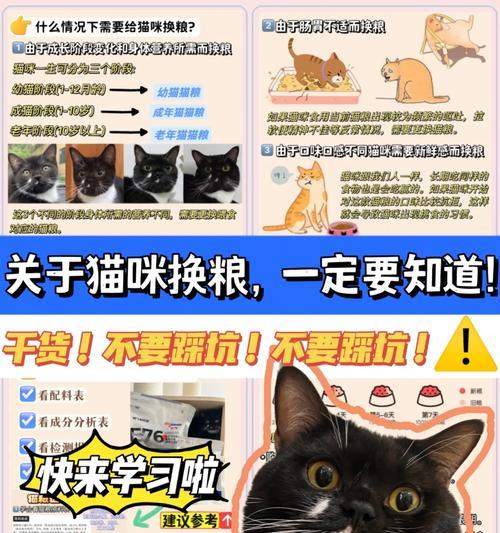 猫咪换粮后无力感如何解决？