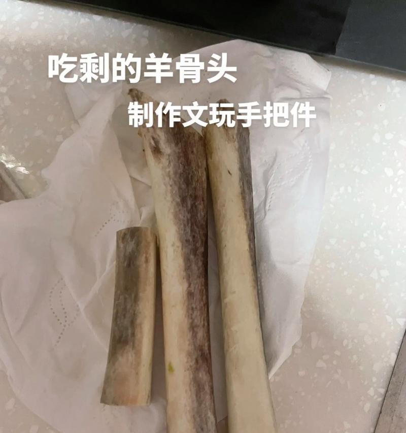 羊驼骨头架子怎么做的好看？如何制作美观的羊驼骨头架子？