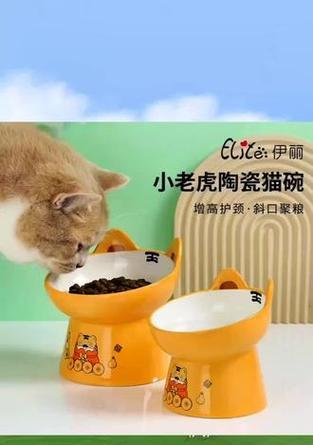 猫粮碗陶瓷3能否使用？使用原因是什么？