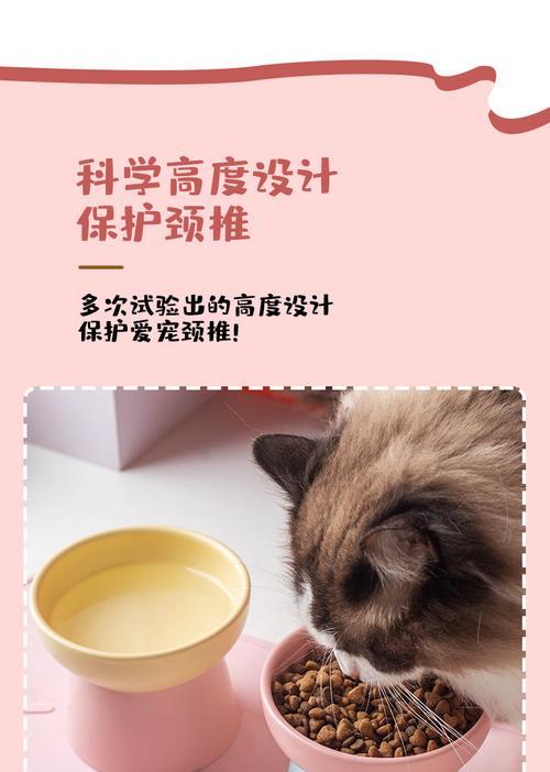 猫粮碗陶瓷3能否使用？使用原因是什么？