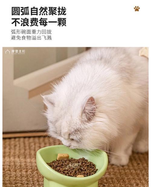 猫粮碗陶瓷3能否使用？使用原因是什么？