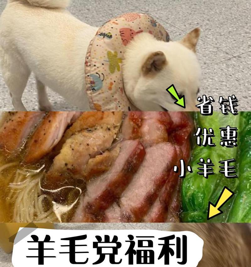 千味羊驼包子的口感如何？