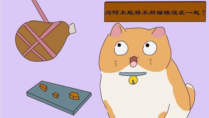 洁癖猫只吃干净猫粮会怎么样？对猫咪的健康有何影响？