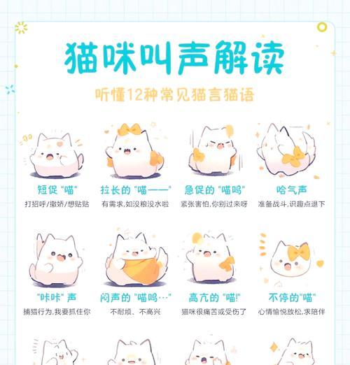 吃猫粮发声音正常吗？猫咪吃猫粮时发出声音的原因是什么？