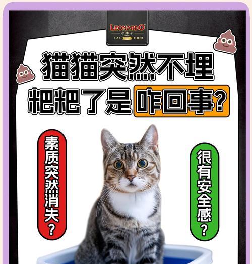 猫咪一直埋猫粮是什么原因？这是正常行为吗？