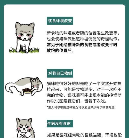 猫咪一直埋猫粮是什么原因？这是正常行为吗？
