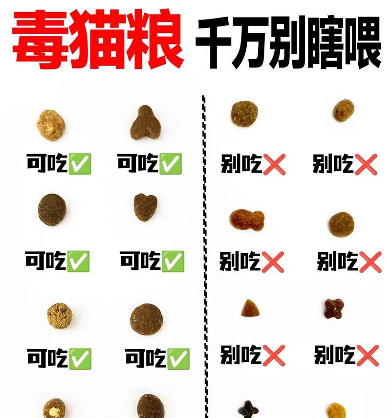 猫粮附近出现臭味是什么原因？如何消除异味？