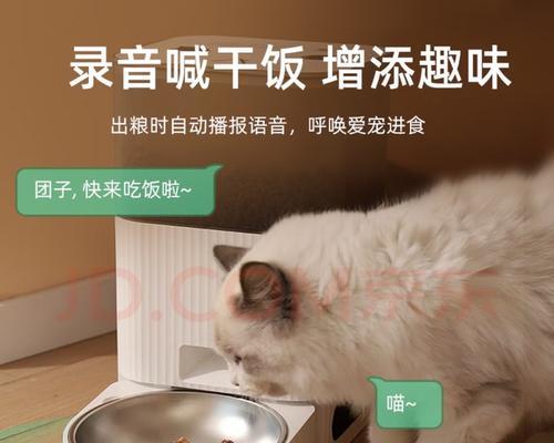 喂猫粮神器自动断奶怎么办？如何正确使用自动断奶喂食器？
