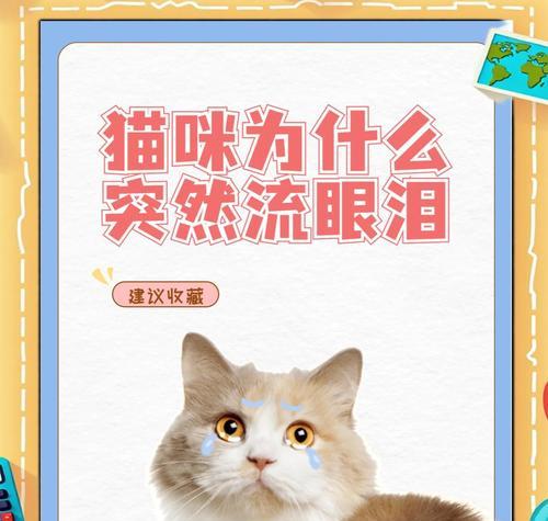 换猫粮后猫咪流泪的应对措施是什么？