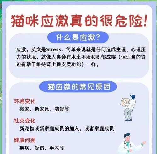橘猫吃猫粮窒息如何急救？