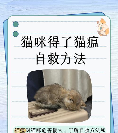 橘猫吃猫粮窒息如何急救？