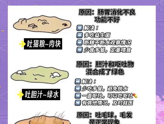 猫咪吃了猫粮后呕吐怎么办？可能的原因是什么？