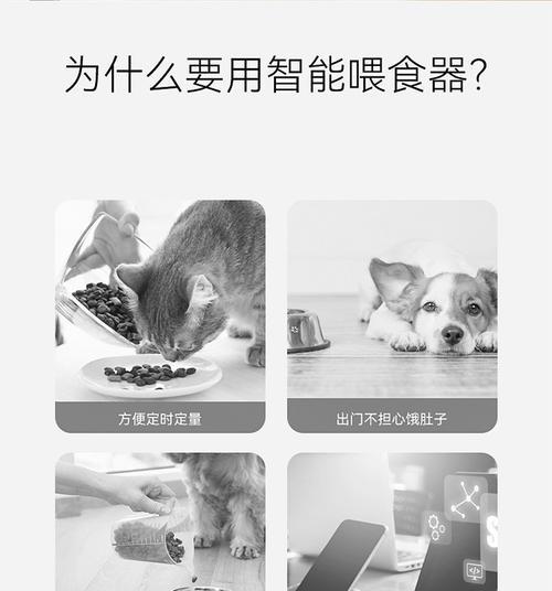 猫粮自动出粮器出现故障如何解决？