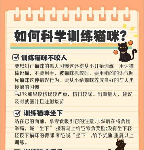 猫有猫粮还是抓纸怎么办？如何纠正猫咪的不良习惯？