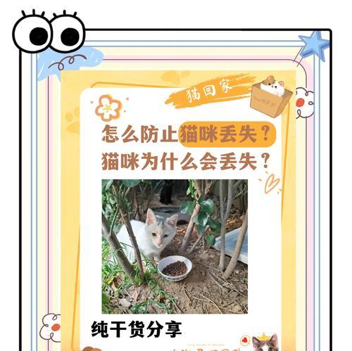 小猫误食猫粮中的石头该如何处理？