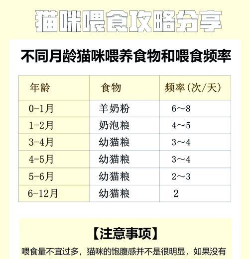 两个月大的猫可以直接吃猫粮吗？有什么风险？