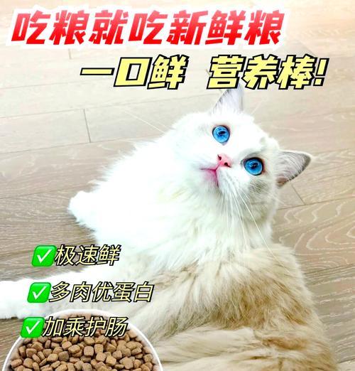 猫粮与新鲜肉相比有哪些优缺点？