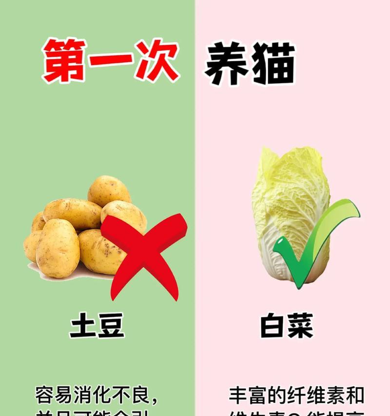 猫咪不宜食用哪些猫粮成分？