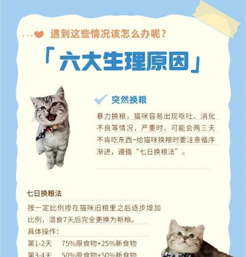 猫咪拒绝吃落地的猫粮是何原因？