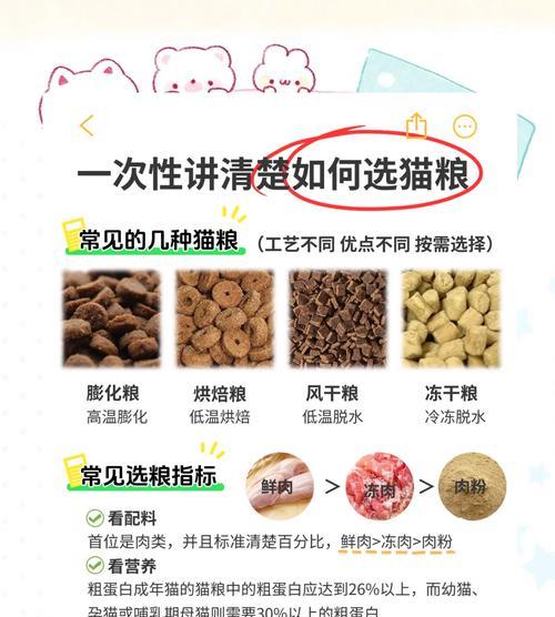 小猫适合哪种猫粮？如何选择合适的猫粮？