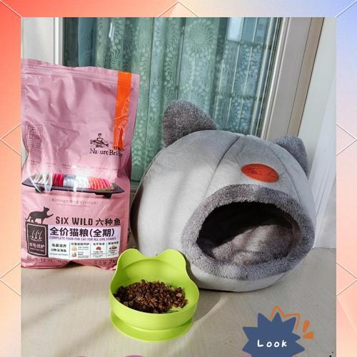 鱼吃猫粮掉鳞片正常吗？可能的原因是什么？