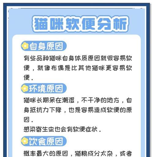 母猫软便时应选择哪种猫粮？