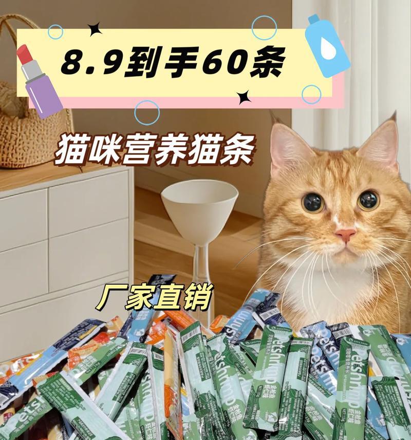 猫条算是湿粮吗？原因是什么？