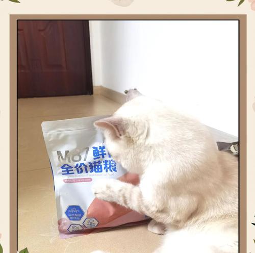 猫粮中发现猪毒的应对措施是什么？
