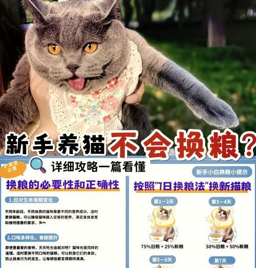 成猫要换猫粮吗怎么换的？换猫粮的正确步骤是什么？