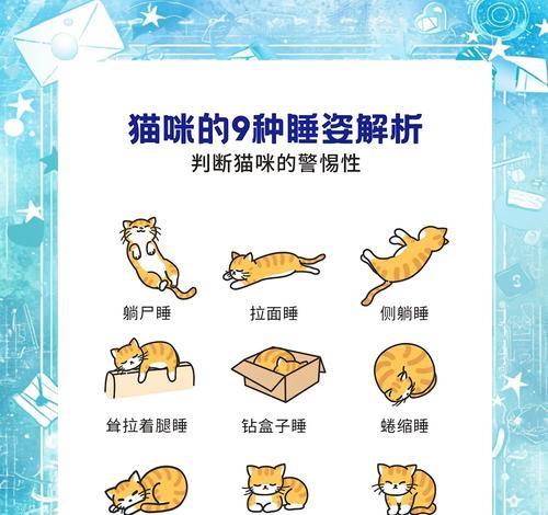 猫咪趴猫粮上睡觉是否健康？