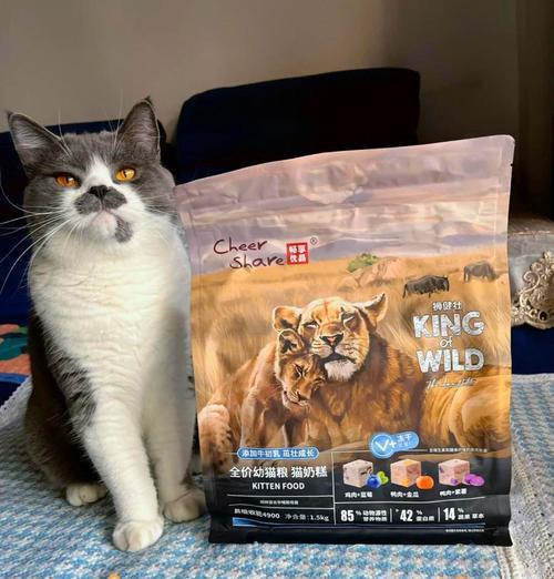 猫咪趴猫粮上睡觉是否健康？
