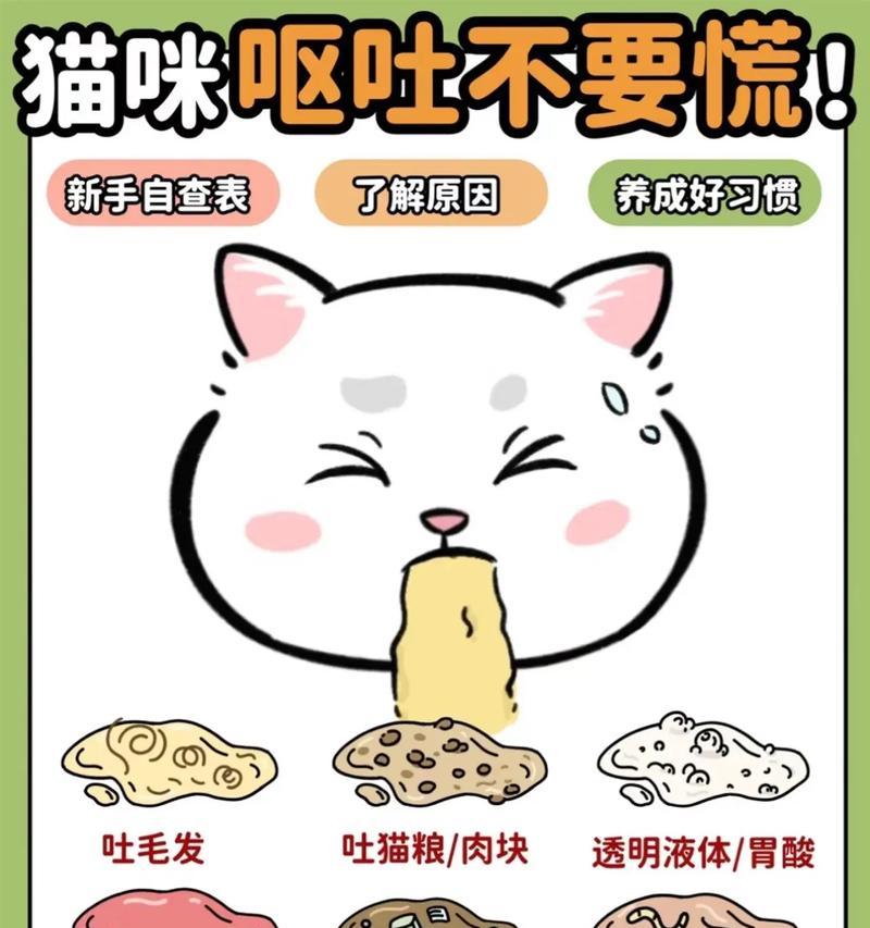 更换猫粮后猫咪出现呕吐，应该怎么办？如何正确过渡新旧猫粮？