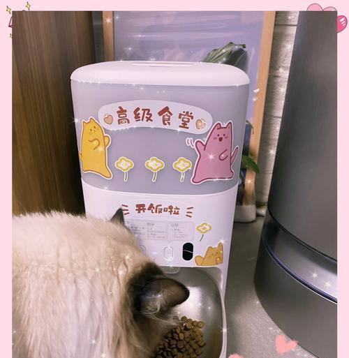 猫粮机对小猫不听话有帮助吗？如何处理？