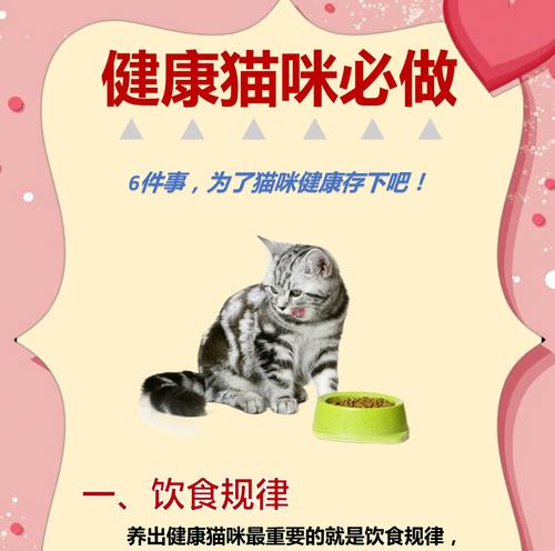 猫咪只吃猫粮为何不生病？健康秘诀何在？