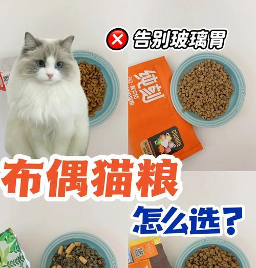 生育期的母猫应该吃什么样的猫粮？有何特别需求？