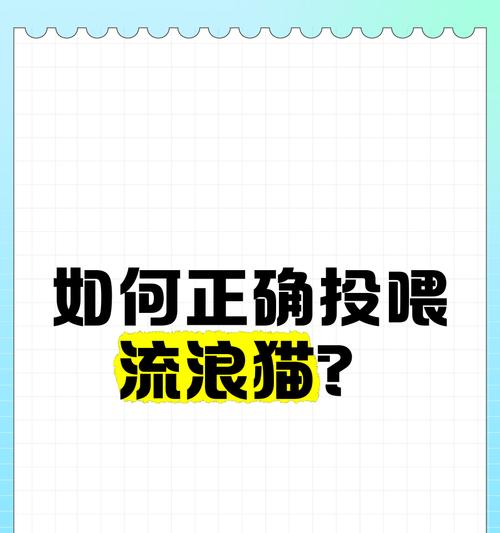 流浪猫怀孕吃猫粮有何影响？如何正确喂养？