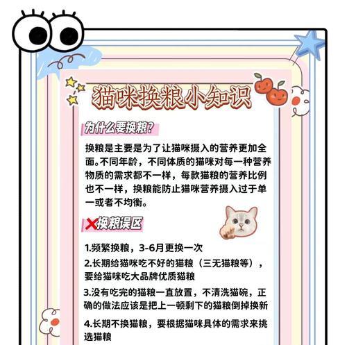 新手如何正确给猫喂猫粮？有哪些注意事项？