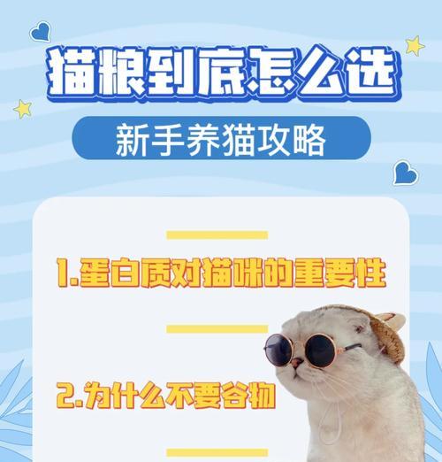 如何成功开展猫粮销售业务？