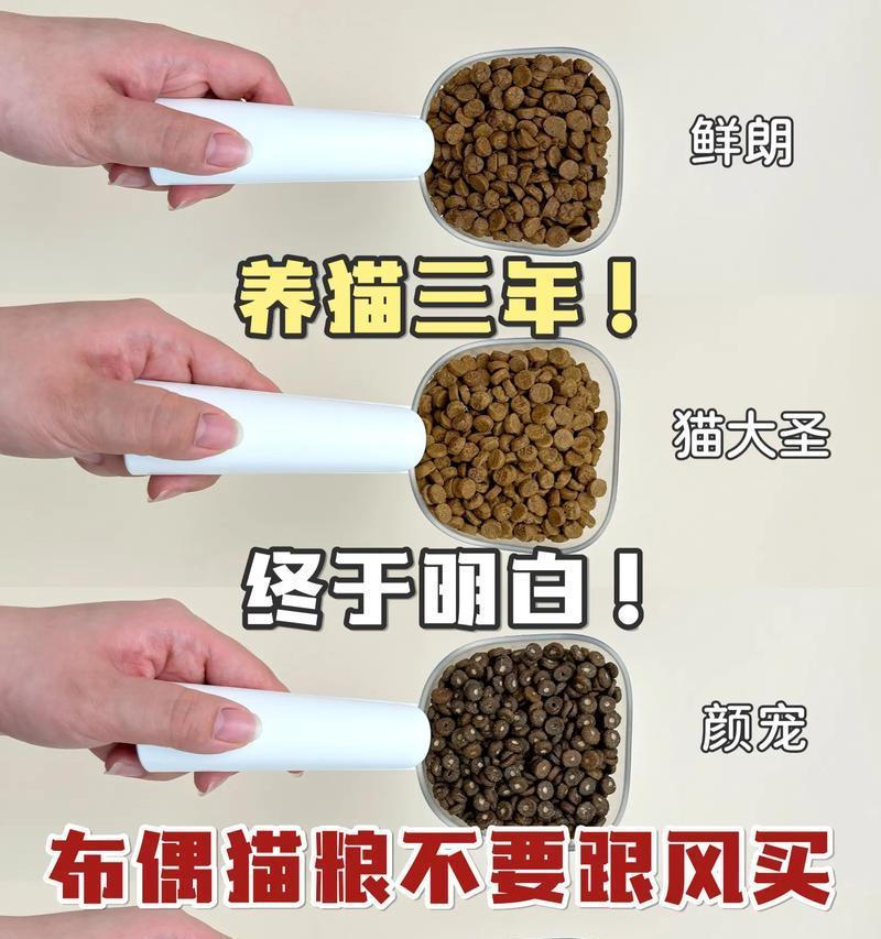 猫粮漏气后如何保存？这样的猫粮还能给猫咪吃吗？