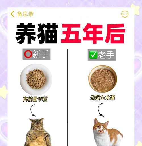 吃猫粮非常胆小正常吗为什么？猫粮与猫咪行为的关系？