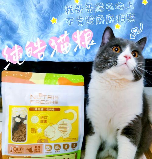 纯皓小奶猫粮的口碑怎么样？