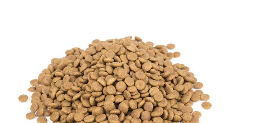 猫粮中出现塑料怎么处理？如何确保猫粮的安全性？