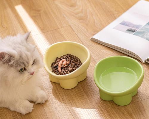 带盖子的猫粮碗叫什么？有什么特别的功能吗？