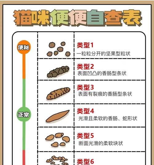 猫粮更换后软便的原因是什么？