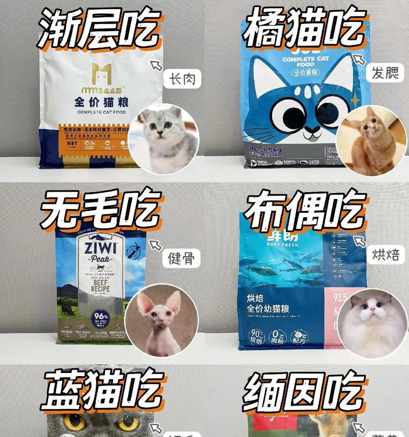 橘猫应该吃什么猫粮？如何选择适合橘猫的猫粮？