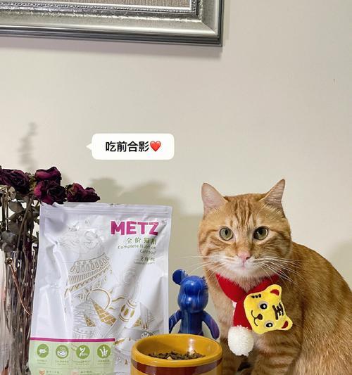 橘猫应该吃什么猫粮？如何选择适合橘猫的猫粮？