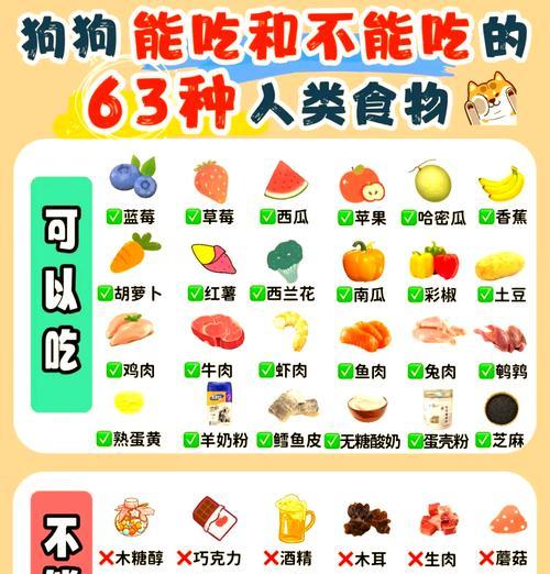狗狗吃了自制狗粮就不吃狗粮了怎么办？如何调整饮食习惯？