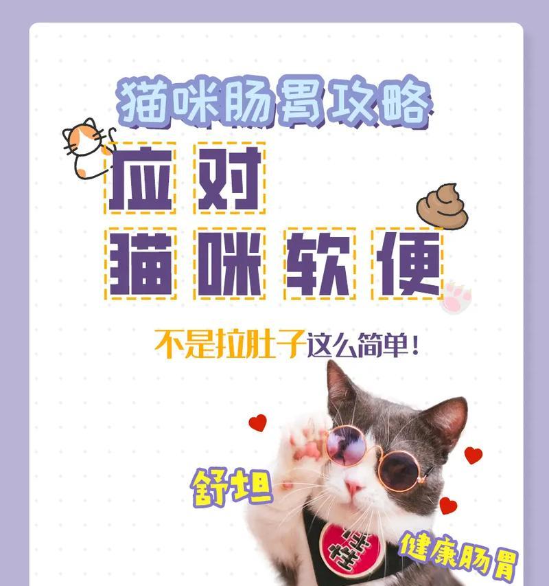 小奶猫拒食猫粮且拉软便怎么办？