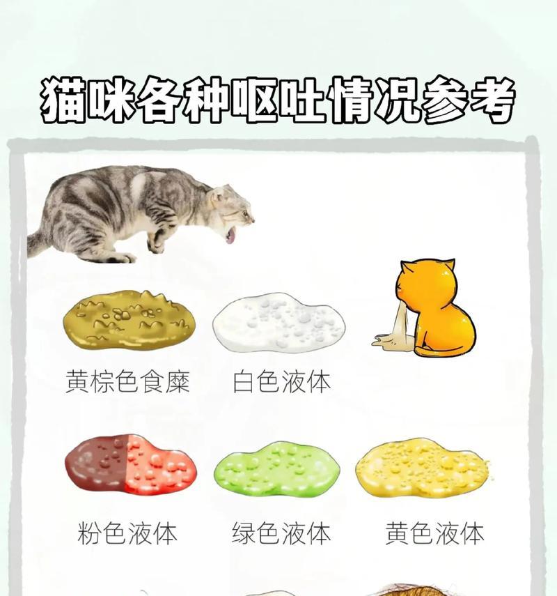 猫刚吐完猫粮又喝水怎么回事？是否需要立即就医？